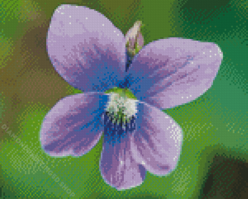 Common Blue Violet Diamond Paintings