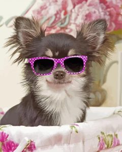 Cool Chihuahua With Glasses Diamond Painting