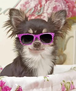 Cool Chihuahua With Glasses Diamond Painting