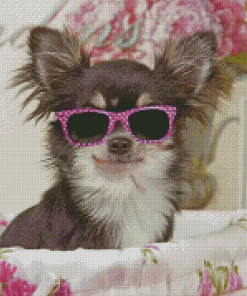 Cool Chihuahua With Glasses Diamond Paintings