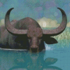 Domestic Water Buffalo Diamond Paintings