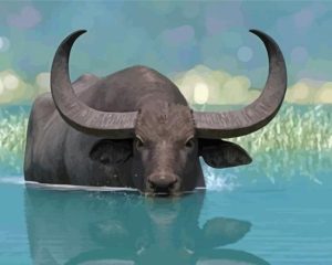 Domestic Water Buffalo Diamond Painting