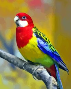 Eastern Rosella Diamond Painting