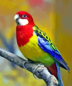 Eastern Rosella Diamond Painting