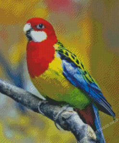 Eastern Rosella Diamond Paintings