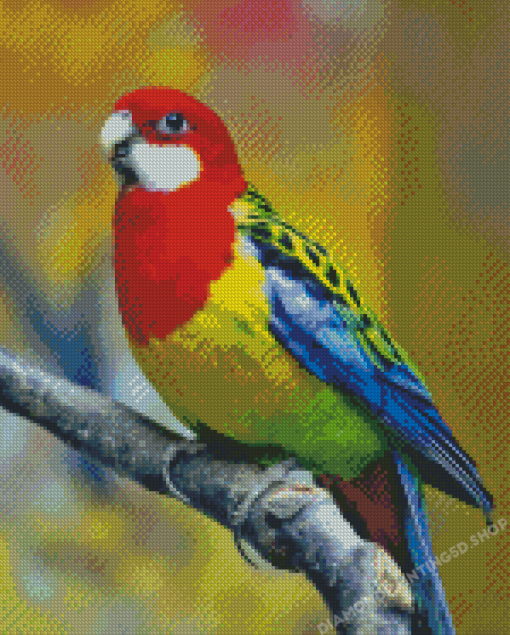 Eastern Rosella Diamond Paintings