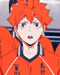 Shoyo Hinata Diamond Painting