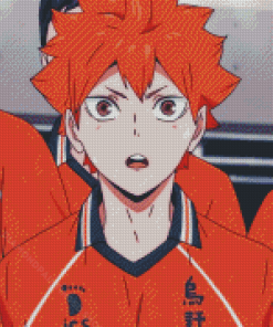 Shoyo Hinata Diamond Paintings