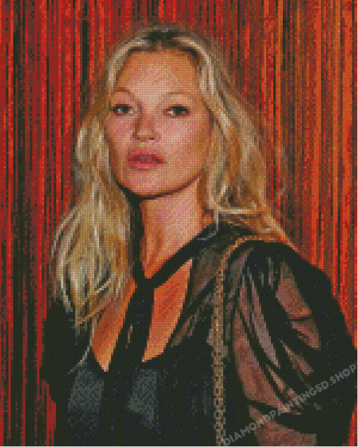 Kate Moss Diamond Paintings