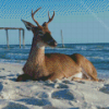 Landscape Stag On A Beach Diamond Paintings