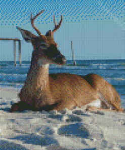 Landscape Stag On A Beach Diamond Paintings
