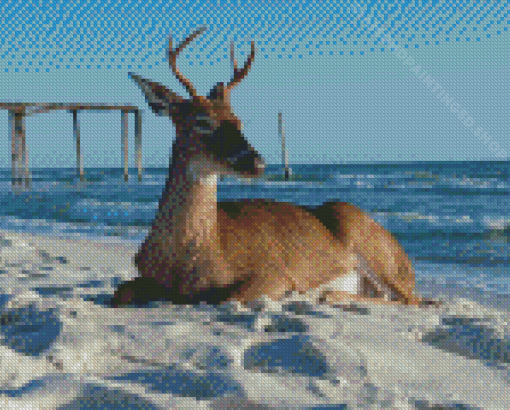 Landscape Stag On A Beach Diamond Paintings