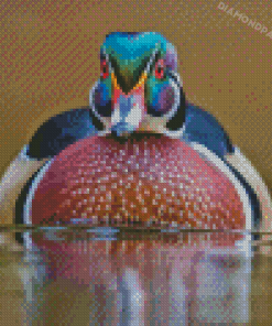 North American Wood Duck Diamond Paintings