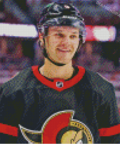 Ottawa Senators Player Diamond Paintings