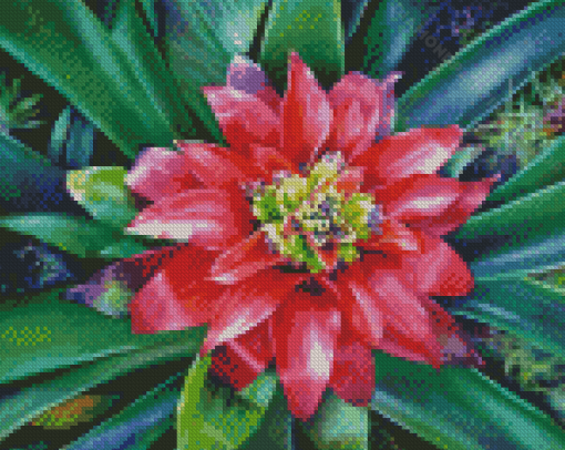 Pink Bromeliad Plant Diamond Paintings