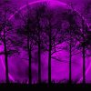 Purple Moon And Trees Silhouette Diamond Painting