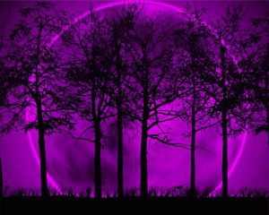 Purple Moon And Trees Silhouette Diamond Painting