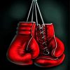 Red Boxing Gloves Diamond Painting