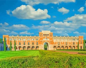 Rice University Texas Diamond Painting