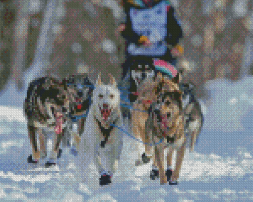 Sled Dog Race Diamond Paintings