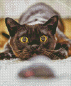 Sneaky Black Cat Diamond Paintings