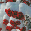 Snow Red Rowan Berries Diamond Paintings