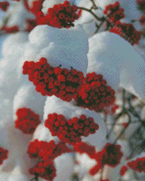 Snow Red Rowan Berries Diamond Paintings