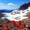 Snowy Broken Top Mountain Diamond Painting