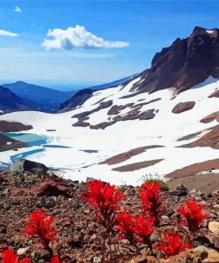 Snowy Broken Top Mountain Diamond Painting