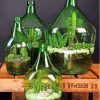 Succulents In Bottles Diamond Painting