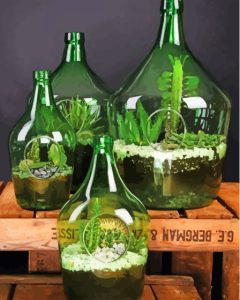 Succulents In Bottles Diamond Painting