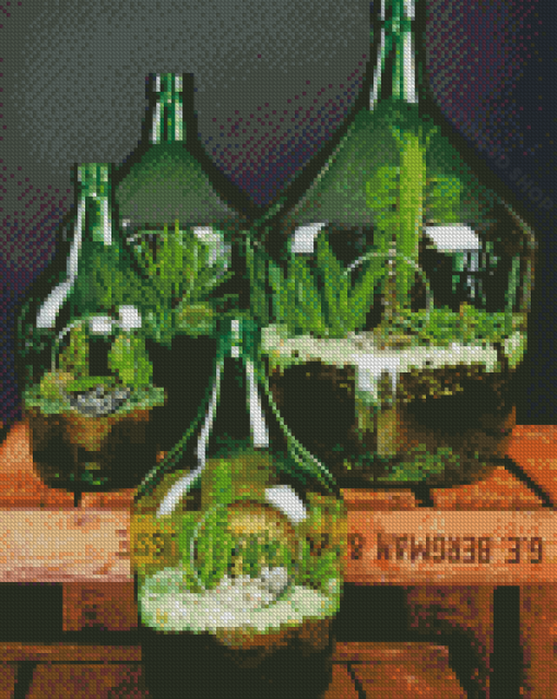 Succulents In Bottles Diamond Paintings