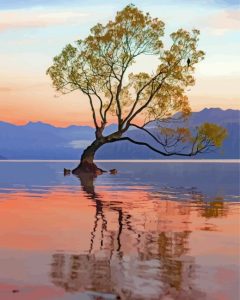 Sunrise In Lake Wanaka Diamond Painting