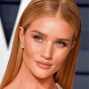 The British Rosie Huntington Whiteley Diamond Painting