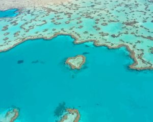 The Great Barrier Reef Diamond Painting