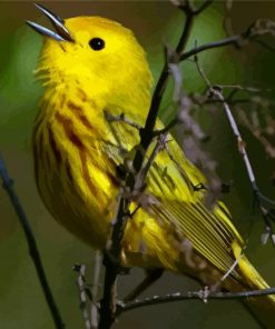 The Yellow Warbler Bird Diamond Painting