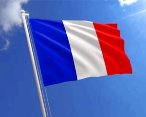 The France Flag Diamond Painting