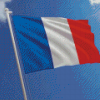 The France Flag Diamond Paintings