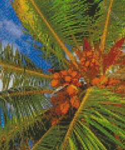 Tropical Coconut Tree Diamond Paintings