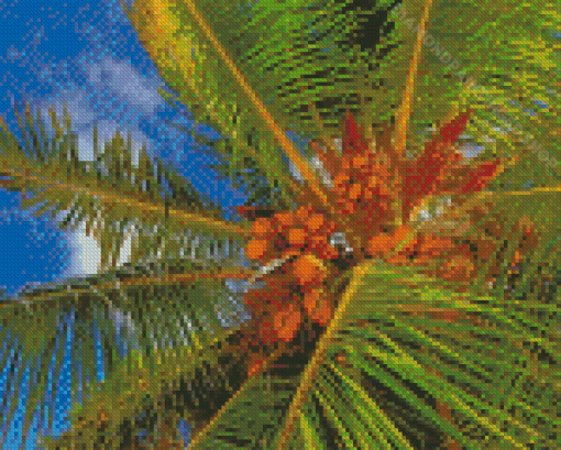 Tropical Coconut Tree Diamond Paintings