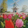 Tulpen En Molen Diamond Paintings