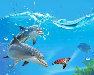 Turtle And Dolphins Diamond Painting