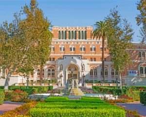 University Of Southern California Diamond Painting