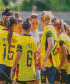 Watford FC Female Team Diamond Paintings