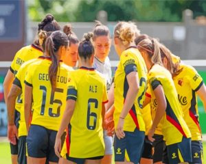 Watford FC Female Team Diamond Painting