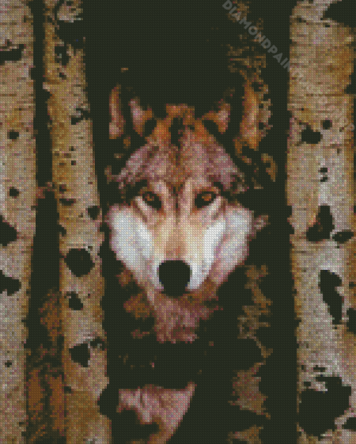 Winter Wolf Among birches Diamond Paintings