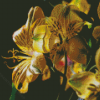 Yellow Alstroemeria Plant Diamond Paintings