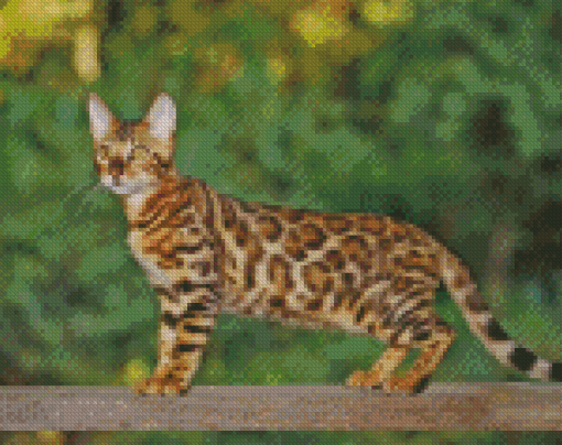 Aesthetic Bengal Diamond Paintings