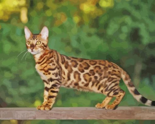 Aesthetic Bengal Diamond Painting