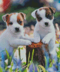 Aesthetic Jack Terrier Diamond Paintings